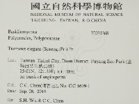 登錄號:F0031368藏品圖，第2張