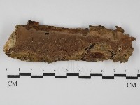 登錄號:F0031369藏品圖，第1張