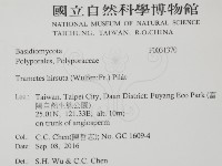 登錄號:F0031370藏品圖，第2張