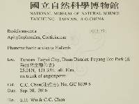 登錄號:F0031371藏品圖，第2張