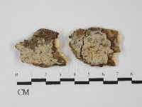 登錄號:F0031371藏品圖，第1張