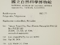 登錄號:F0031373藏品圖，第2張