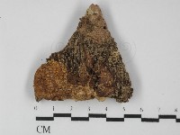 登錄號:F0031373藏品圖，第1張