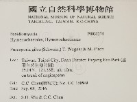 登錄號:F0031374藏品圖，第2張