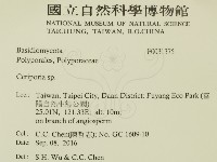 蠟孔菌屬藏品圖，第2張