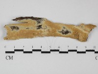 登錄號:F0031376藏品圖，第1張