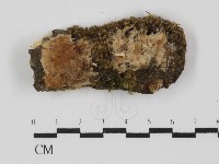 登錄號:F0031377藏品圖，第1張