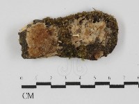 登錄號:F0031377藏品圖，第3張