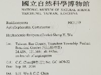 登錄號:F0031379藏品圖，第2張