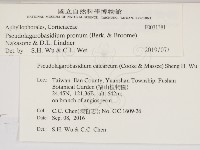 登錄號:F0031381藏品圖，第2張