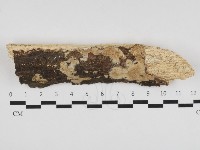 登錄號:F0031381藏品圖，第1張