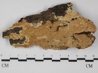 登錄號:F0031382藏品圖，第1張