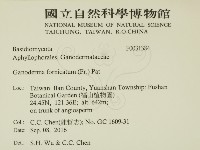 登錄號:F0031384藏品圖，第2張