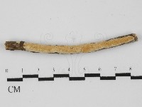 登錄號:F0031386藏品圖，第3張