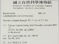 登錄號:F0031388藏品圖，第2張