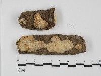 登錄號:F0031393藏品圖，第1張