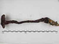 登錄號:F0031395藏品圖，第1張