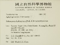 登錄號:F0031397藏品圖，第2張