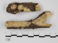 登錄號:F0031397藏品圖，第1張