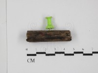 登錄號:F0031400藏品圖，第4張