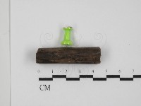 登錄號:F0031400藏品圖，第5張