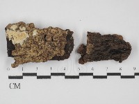 登錄號:F0031401藏品圖，第1張