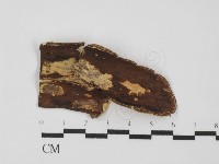 登錄號:F0031404藏品圖，第3張