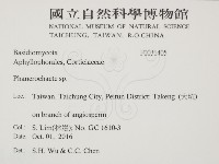 顯絲菌屬藏品圖，第2張