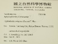 登錄號:F0031406藏品圖，第2張