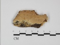 登錄號:F0031406藏品圖，第3張