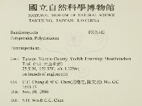 多年臥孔菌屬藏品圖，第2張