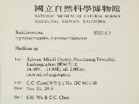 木層孔菌屬藏品圖，第2張