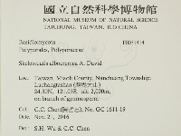 登錄號:F0031414藏品圖，第2張