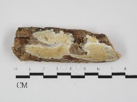 登錄號:F0031414藏品圖，第1張