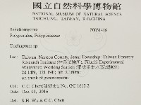 附毛菌屬藏品圖，第2張