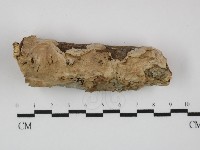 登錄號:F0031417藏品圖，第1張