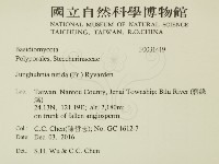 登錄號:F0031419藏品圖，第2張