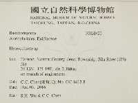 刺皮菌屬藏品圖，第2張