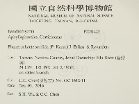 登錄號:F0031423藏品圖，第2張