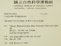 登錄號:F0031424藏品圖，第2張