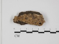 登錄號:F0031424藏品圖，第3張