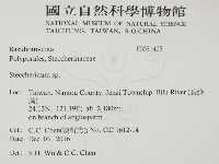 齒耳菌屬藏品圖，第2張