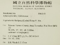 登錄號:F0031426藏品圖，第2張