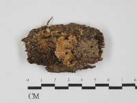 登錄號:F0031428藏品圖，第1張