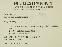 容氏菌屬藏品圖，第2張