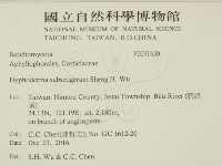 登錄號:F0031430藏品圖，第2張