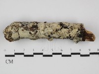 登錄號:F0031430藏品圖，第1張