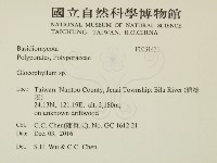 登錄號:F0031431藏品圖，第2張