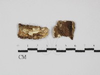 登錄號:F0031433藏品圖，第1張