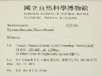 登錄號:F0031436藏品圖，第2張